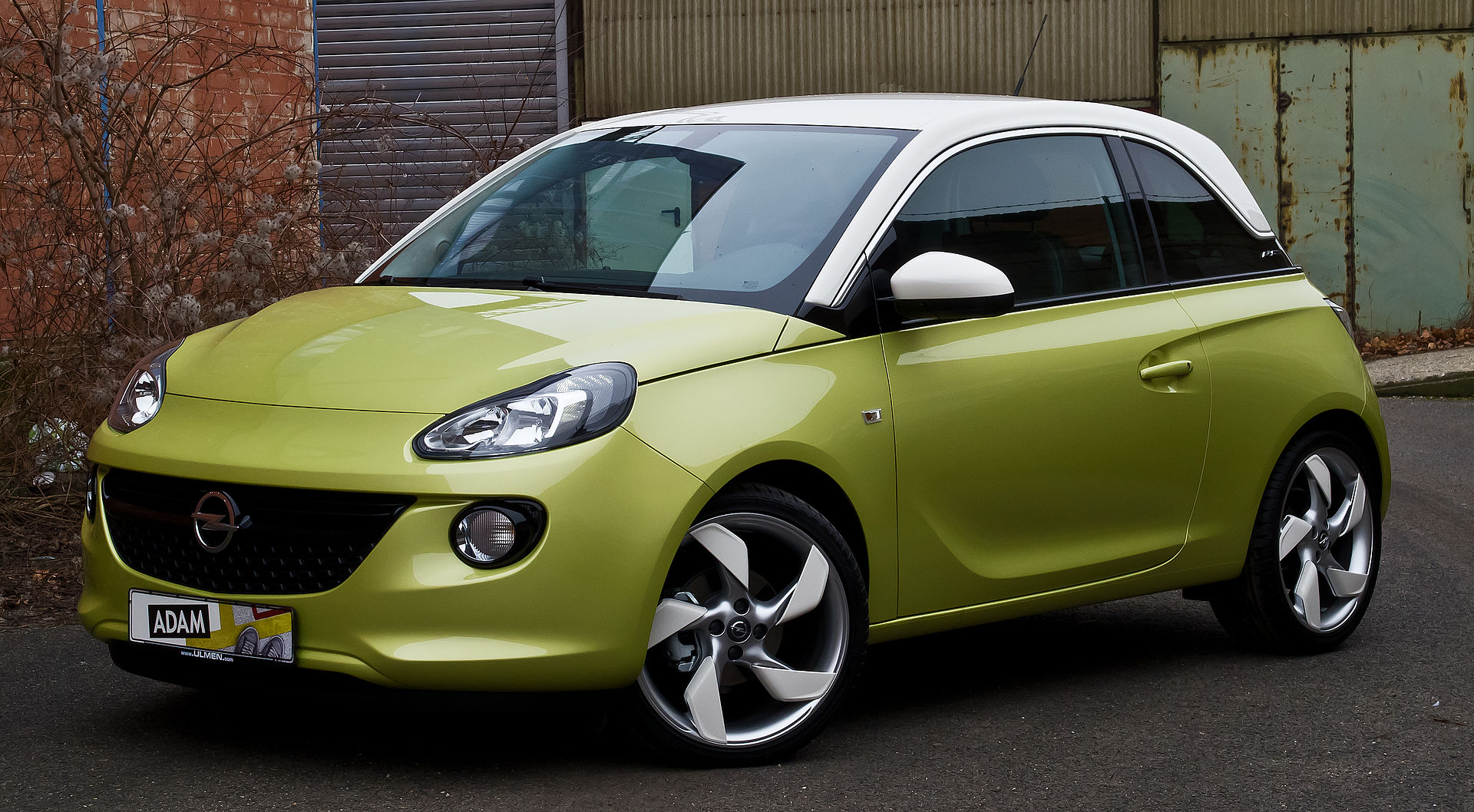 Opel - Adam vanaf 2013 Tellerpaneel reparatie
