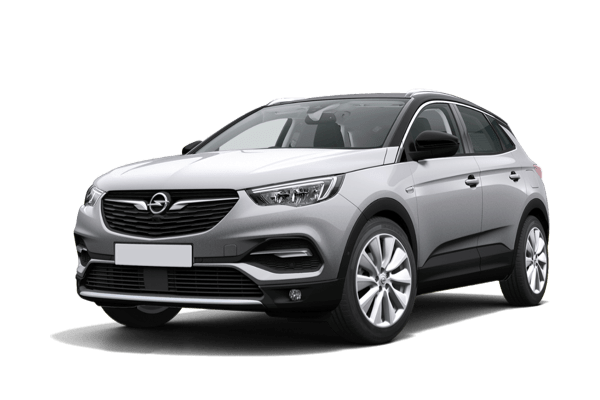 Opel - Grandland 1ste gen. vanaf 2017 Accu reparatie