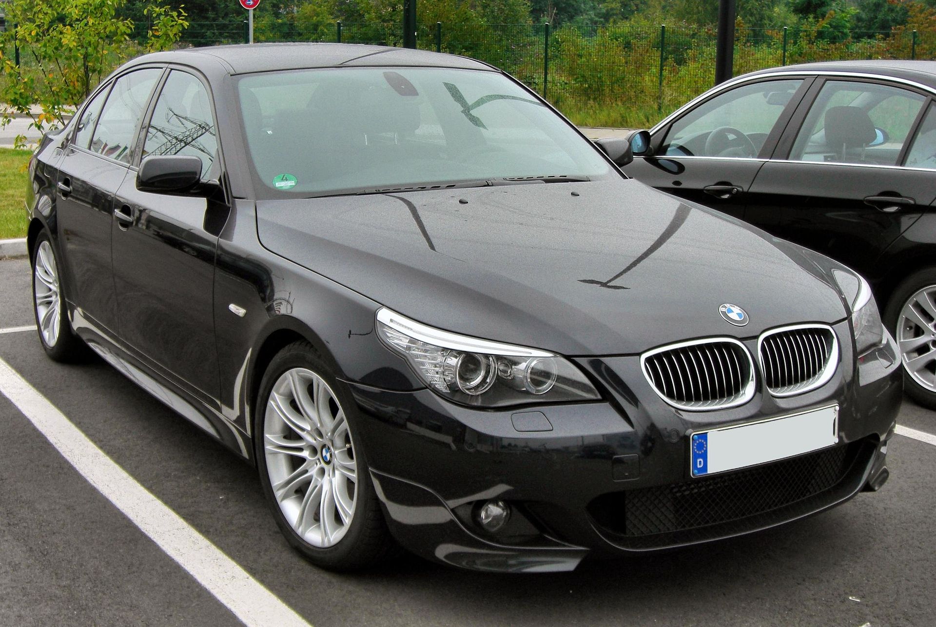 BMW  - 5-serie E60 vanaf 2003 Motor ECU reparatie