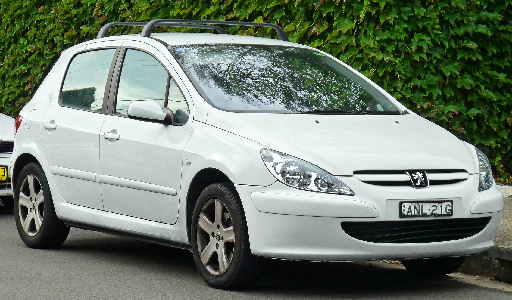 Peugeot - 307 vanaf 2001 Tellerpaneel reparatie