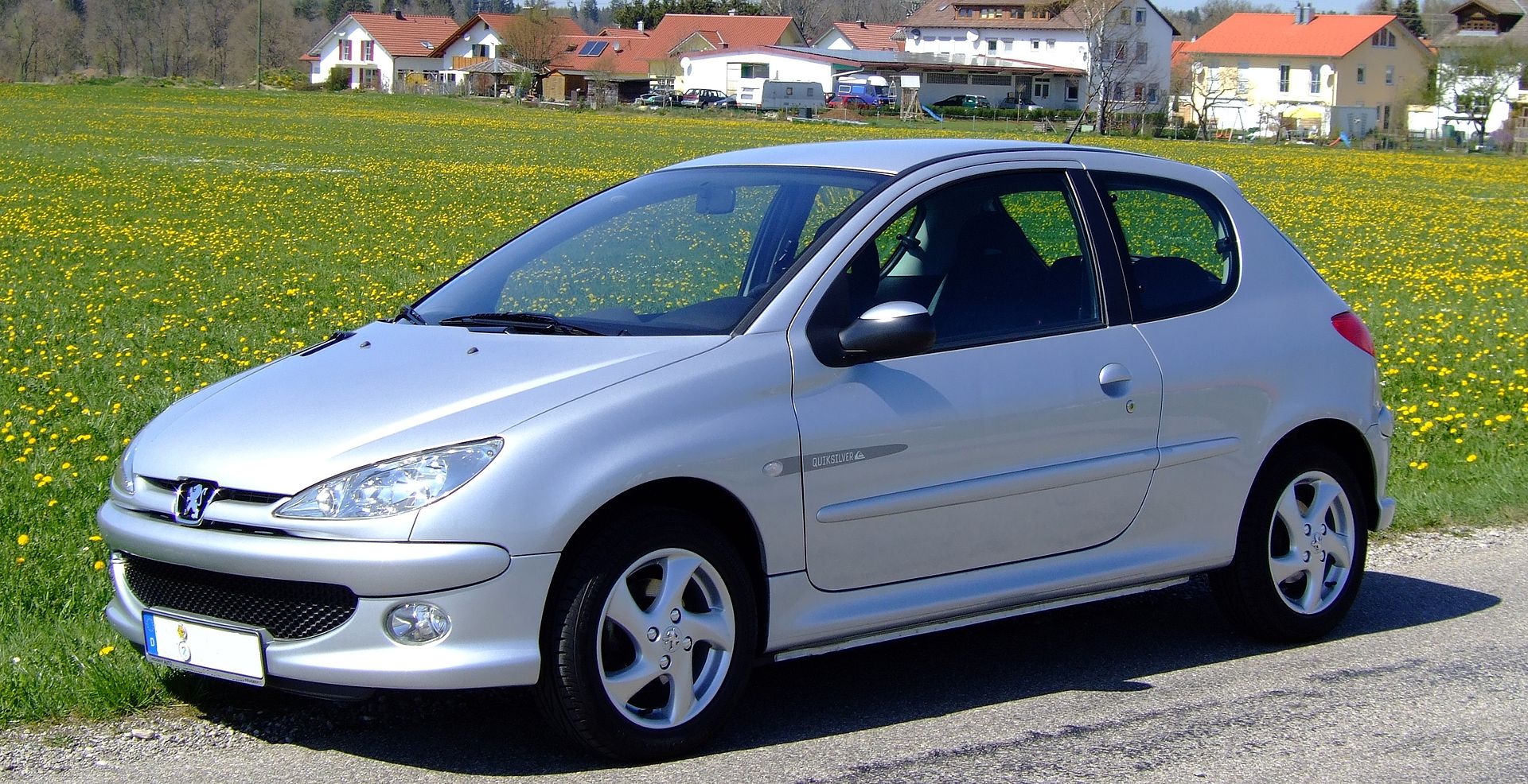 Peugeot - 206 vanaf 1998 Tellerpaneel reparatie